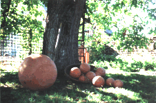 balls